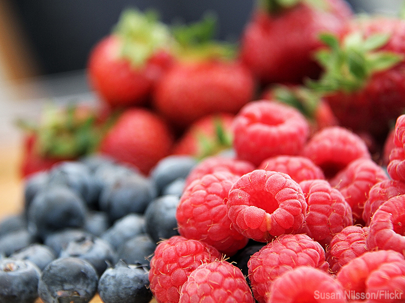 Wisconsin Fruit News, Issue 1 Integrated Pest and Crop Management