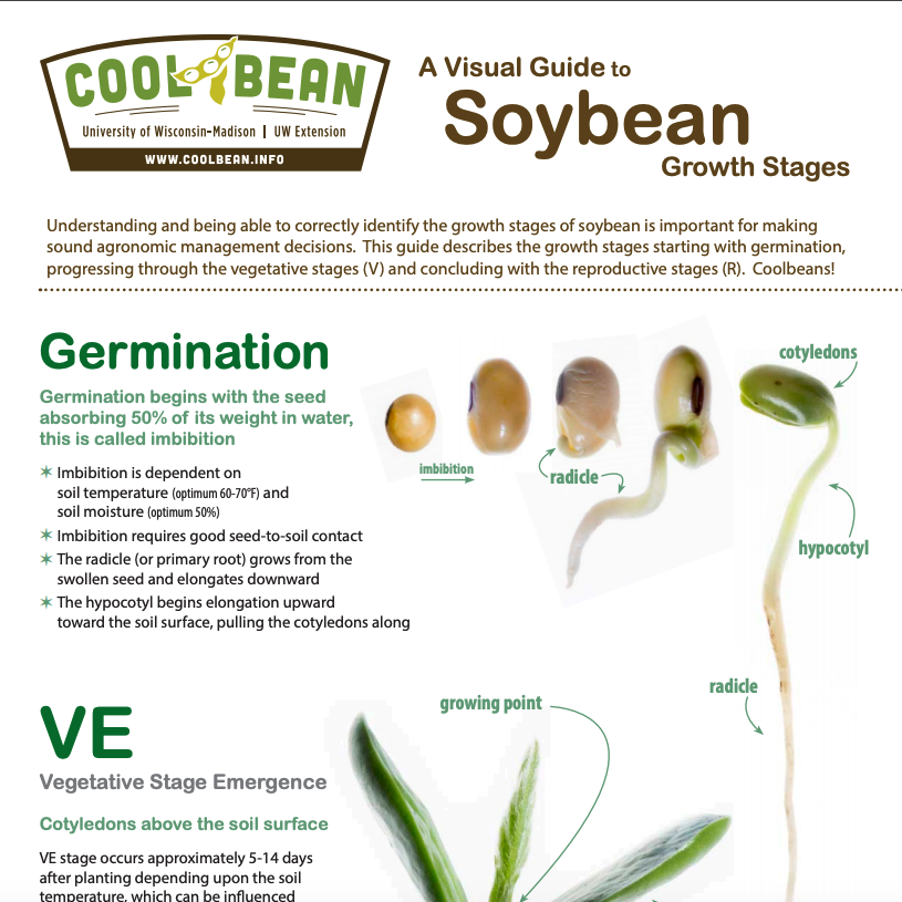 Soybean Guide Cover Page