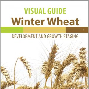 Winter Wheat Cover Page